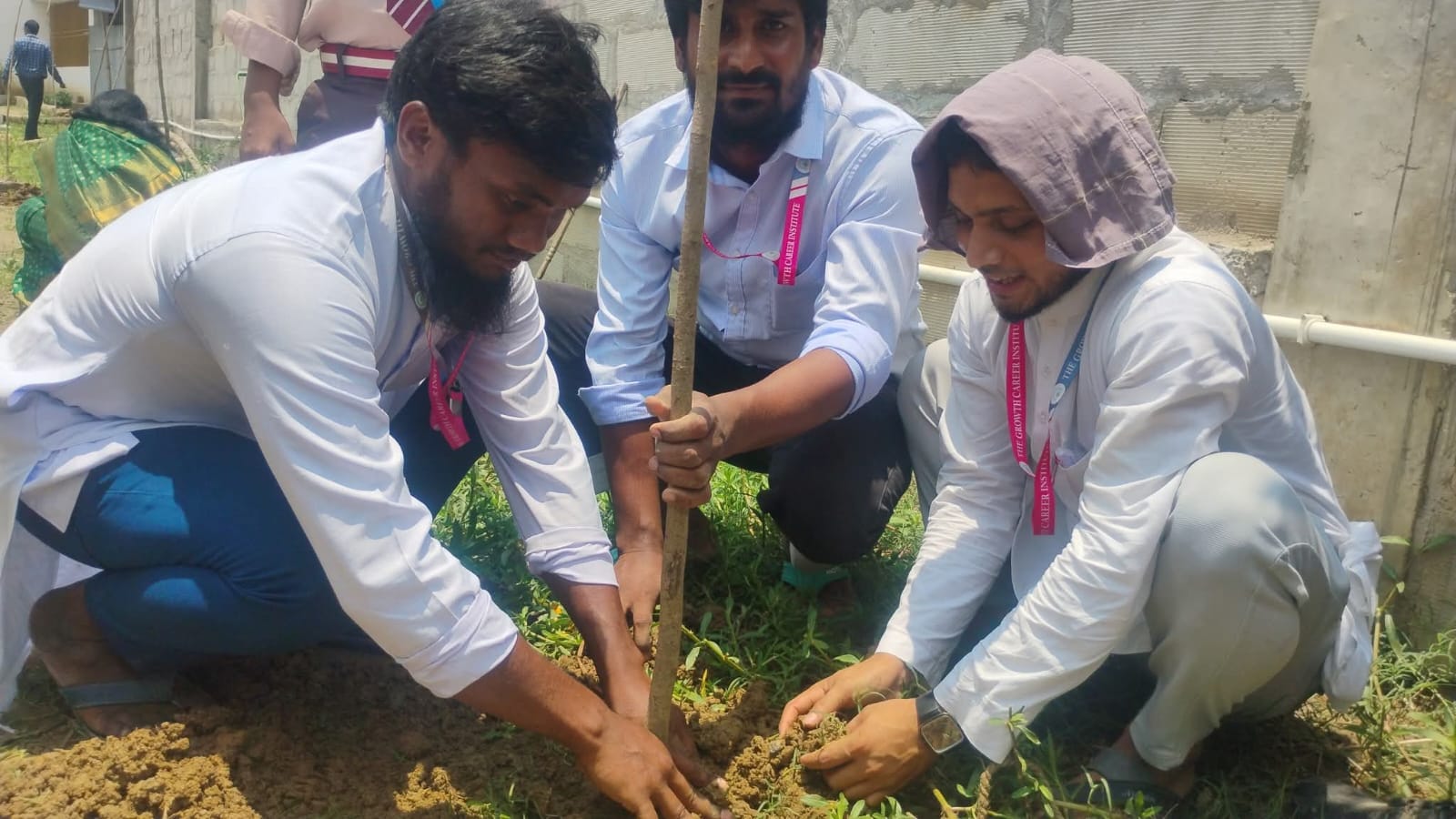 Tree plantation activity